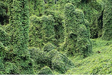 国产奇幻《夜莺归笼》上架Steam 服装战损动态展示