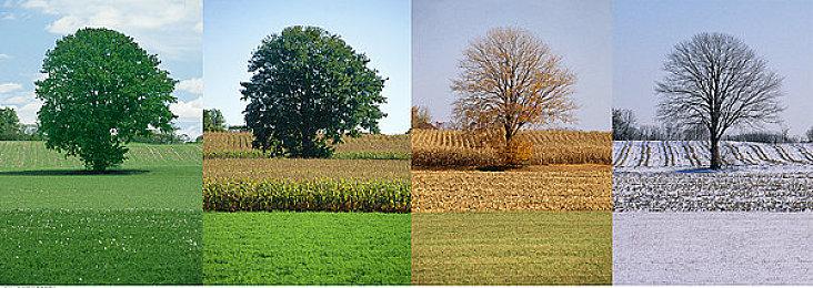 《漫威争锋》上线后《守望先锋2》Steam在线来到新低